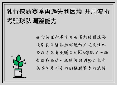 独行侠新赛季再遇失利困境 开局波折考验球队调整能力
